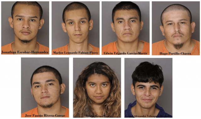 MS-13 gang