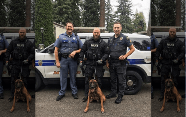 K9 Steele
