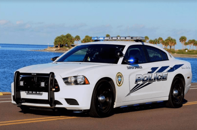 Florida police detective