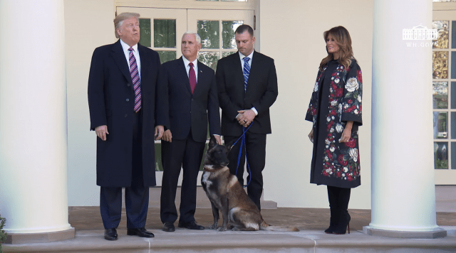 K9 hero