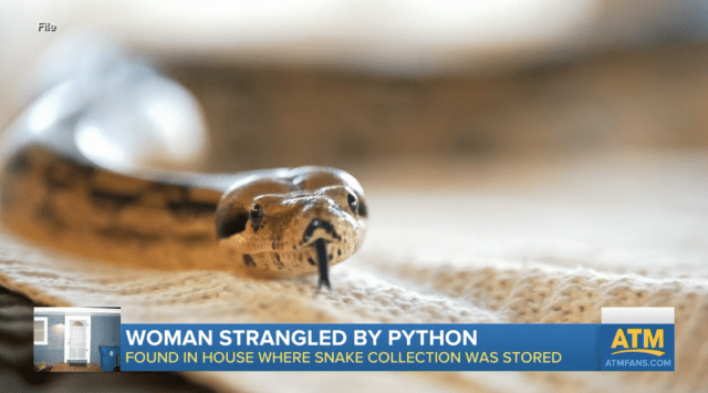 python