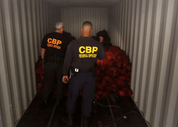Border Patrol agents