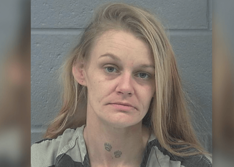 Ashley Blizzard