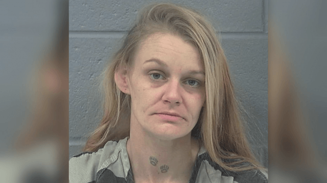 Ashley Blizzard