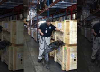 TSA K9 handler
