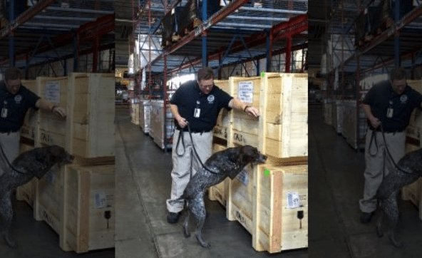 TSA K9 handler