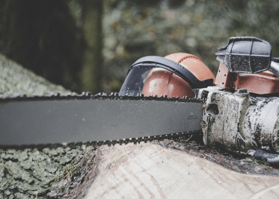 Homeowner pulls chainsaw on knifewielding home invasion robbers Law