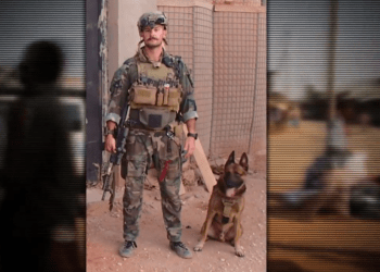K9 Bass