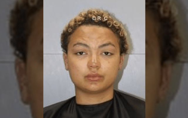 SC woman accused of intentionally setting auto on fire with son inside