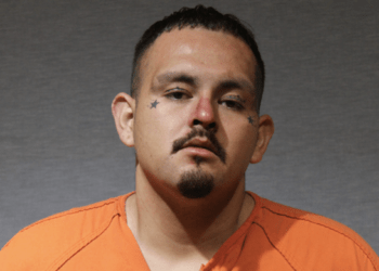 Wanted felon