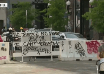 radical activists