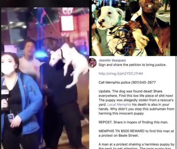 Memphis Rioter Allegedly Stole and Killed Dog Law Officer