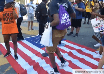 radical activists