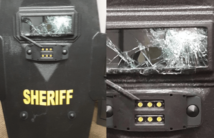 Body shield