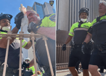 NYPD officers