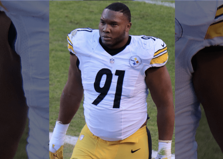 Pittsburgh Steelers defensive end