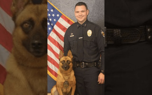 K9 Oli