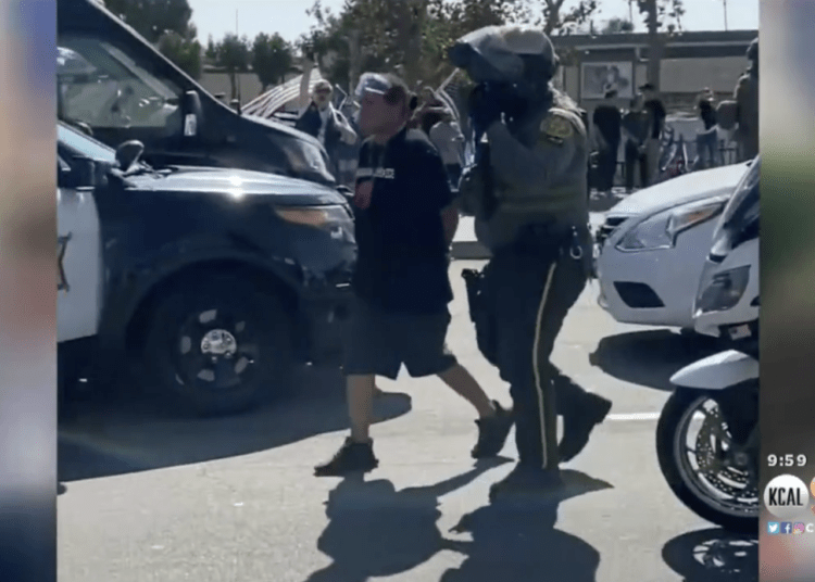 BLM supporter