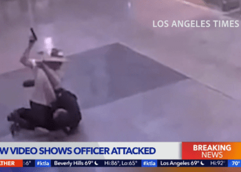 LAPD officer pistol whipped