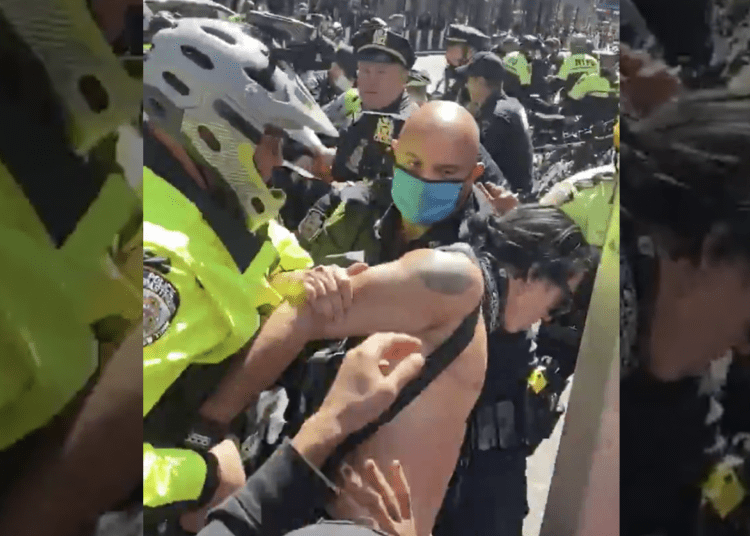 86 protesters