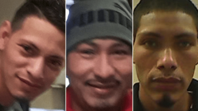 Three immigrant brothers