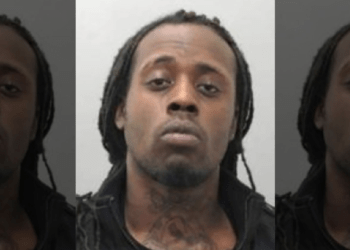 Tennessee manhunt