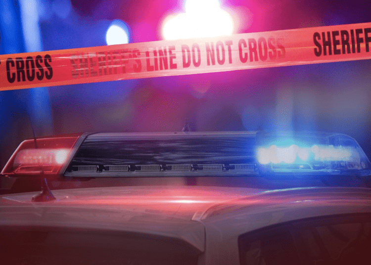 K9 injured