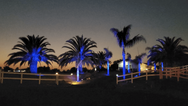 Southern California neighborhood