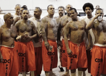 California duped