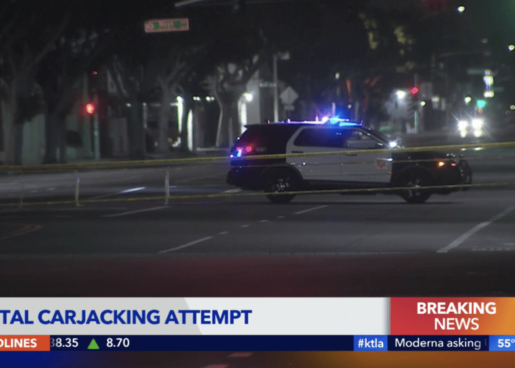 carjacking suspect