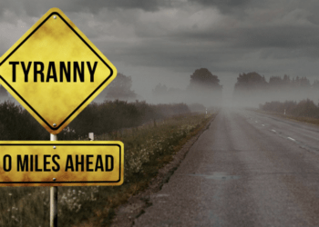 progressive promise land