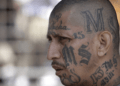 ICE deported
