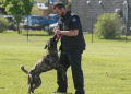 K9 Luna