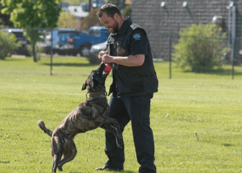 K9 Luna