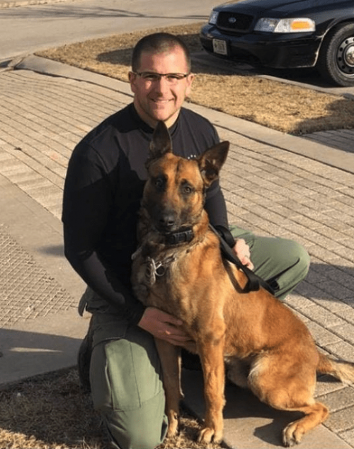 K9 stabbing