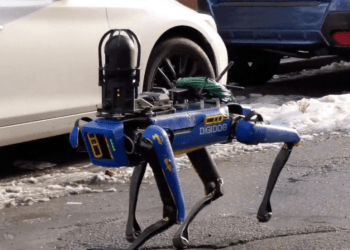 Digidog