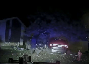 Michigan K9 handler