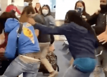 brawl
