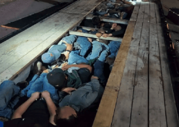 Border patrol agents