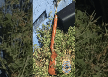 rifle