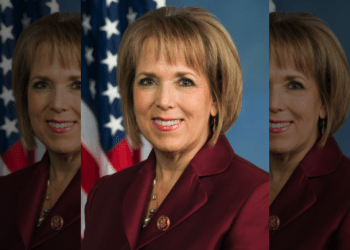 New Mexico governor