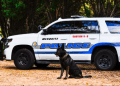 K9 Kozmo