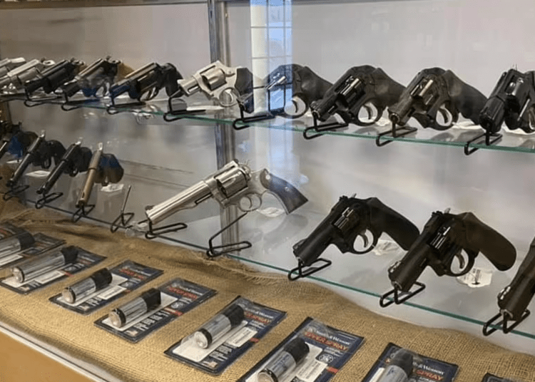 gun background checks