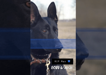 Missouri police K9