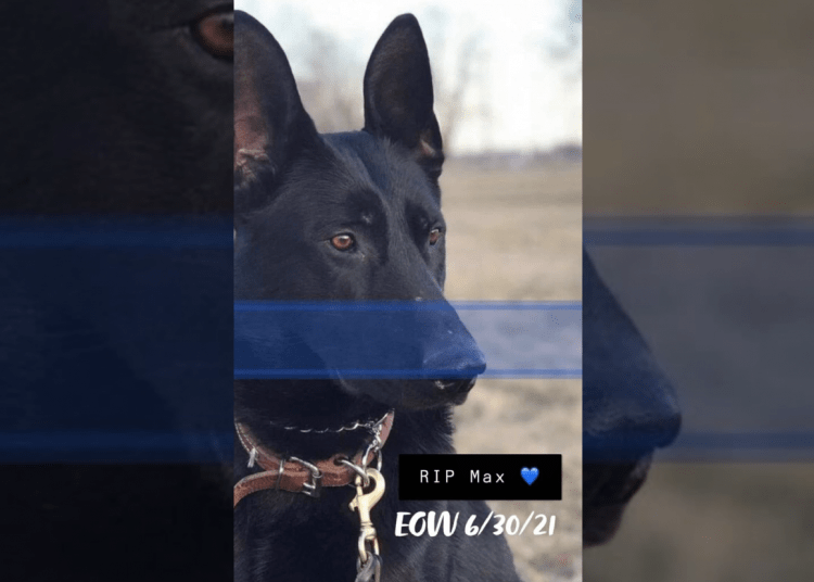 Missouri police K9