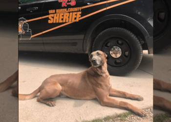 K9 Kuno