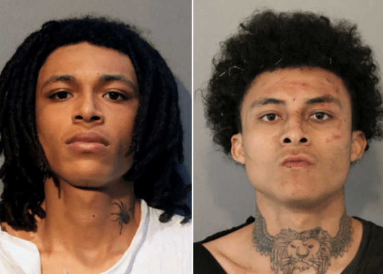 brothers charged
