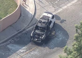 Source: Twitter - @ABC7