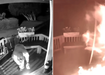 arsonist