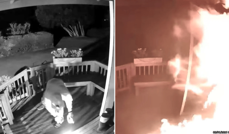 arsonist